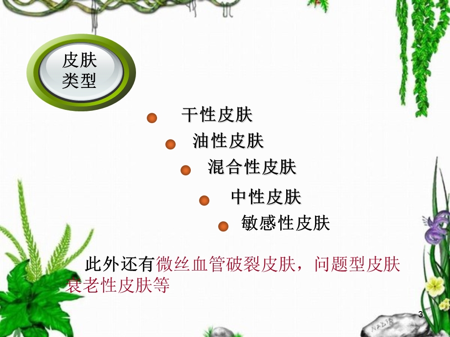 《皮肤类型》PPT课件.ppt_第3页