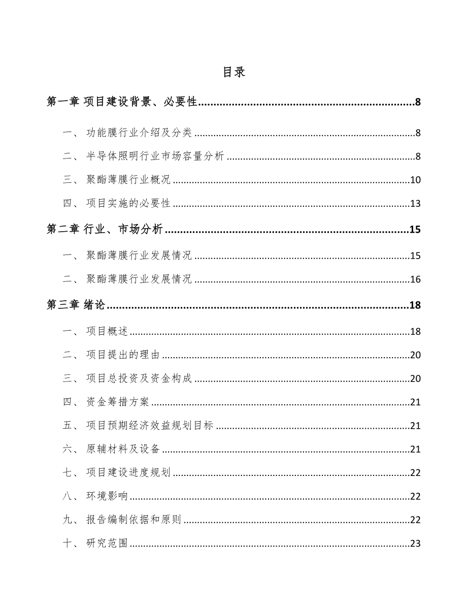 南昌功能膜项目可行性研究报告.docx_第1页