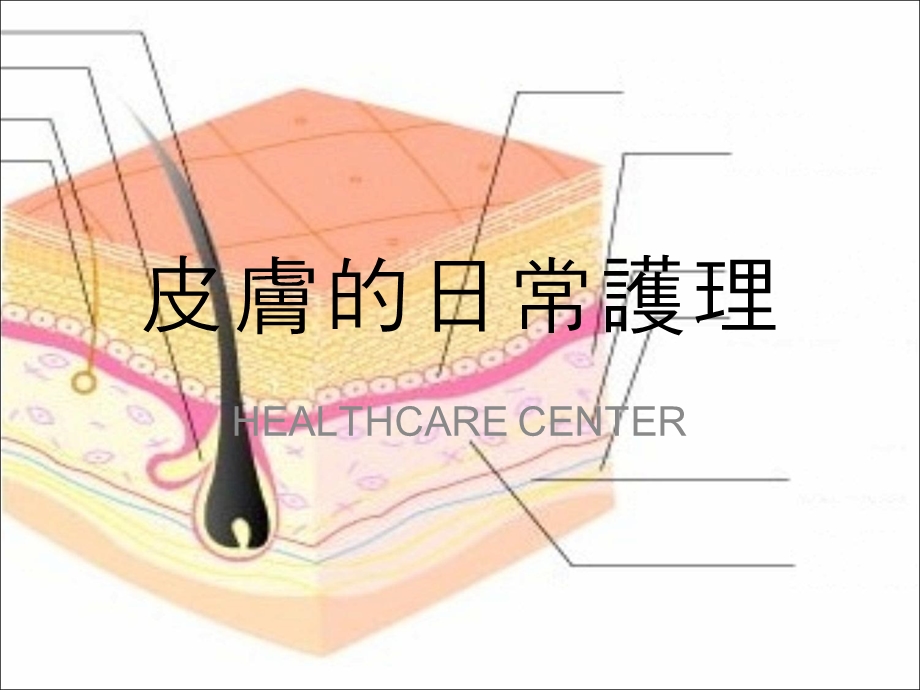 《皮肤日常护理》PPT课件.ppt_第1页