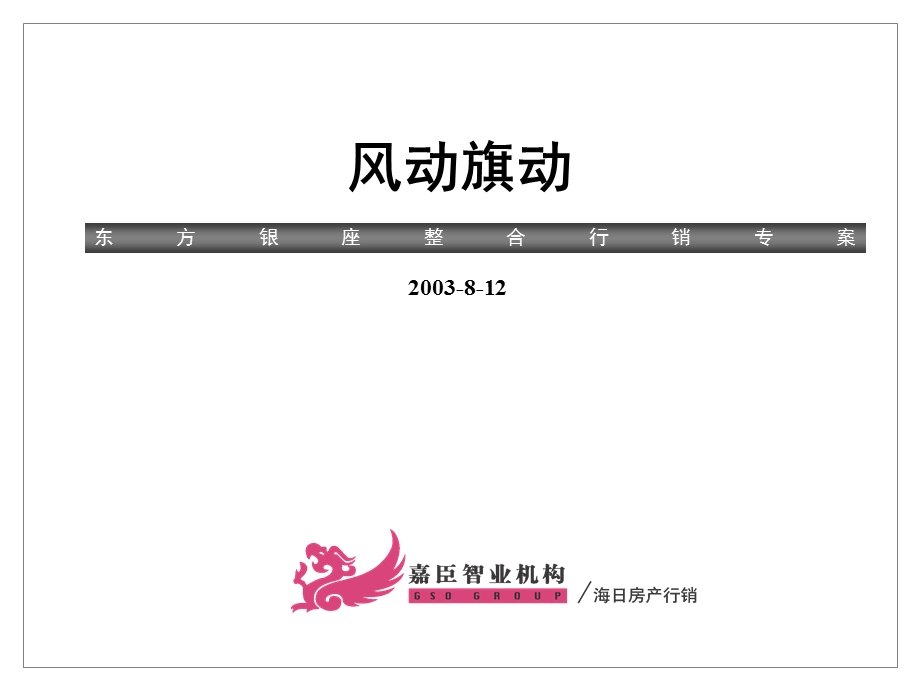 福建泉州东方银座整合行销专案68页.ppt_第2页