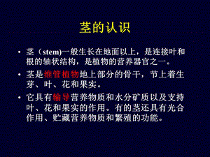 《营养器官茎》PPT课件.ppt