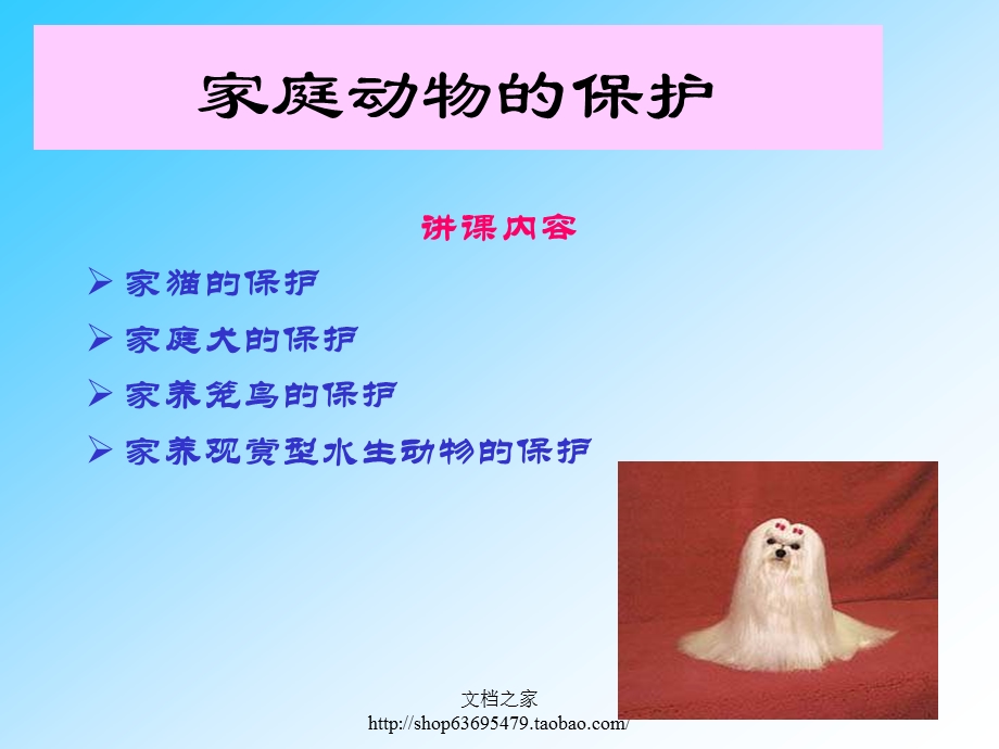 资料家庭动物的保护.ppt_第1页