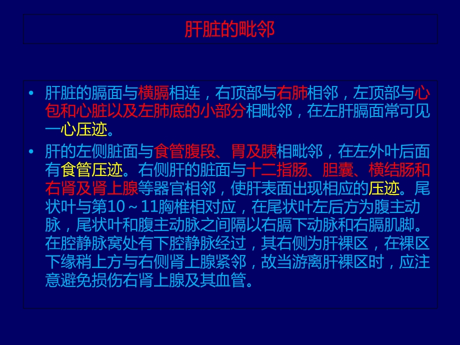 《肝脏解剖详解》PPT课件.ppt_第3页