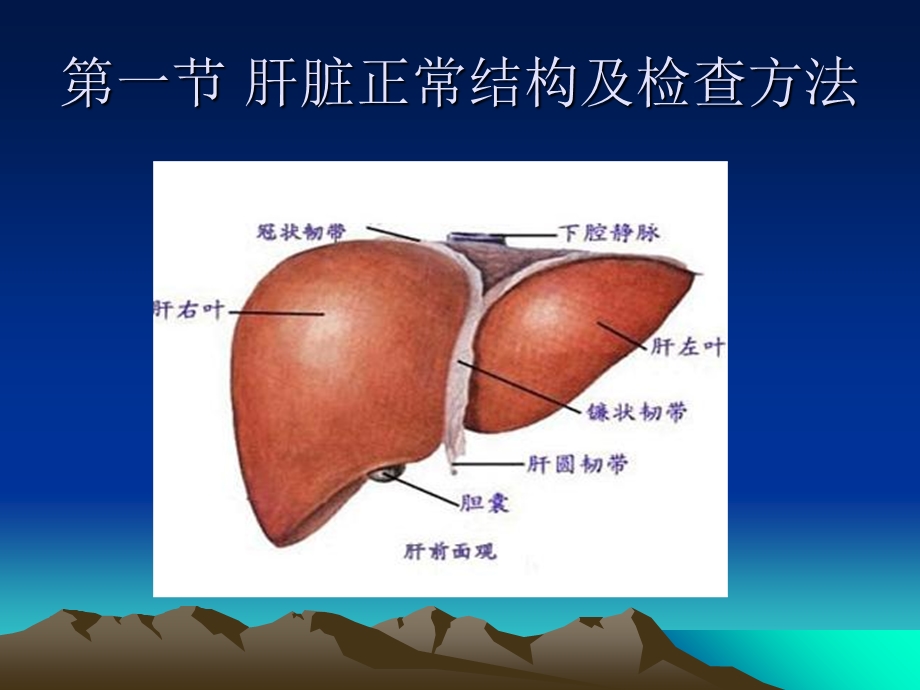 《超声检查肝脏》PPT课件.ppt_第3页