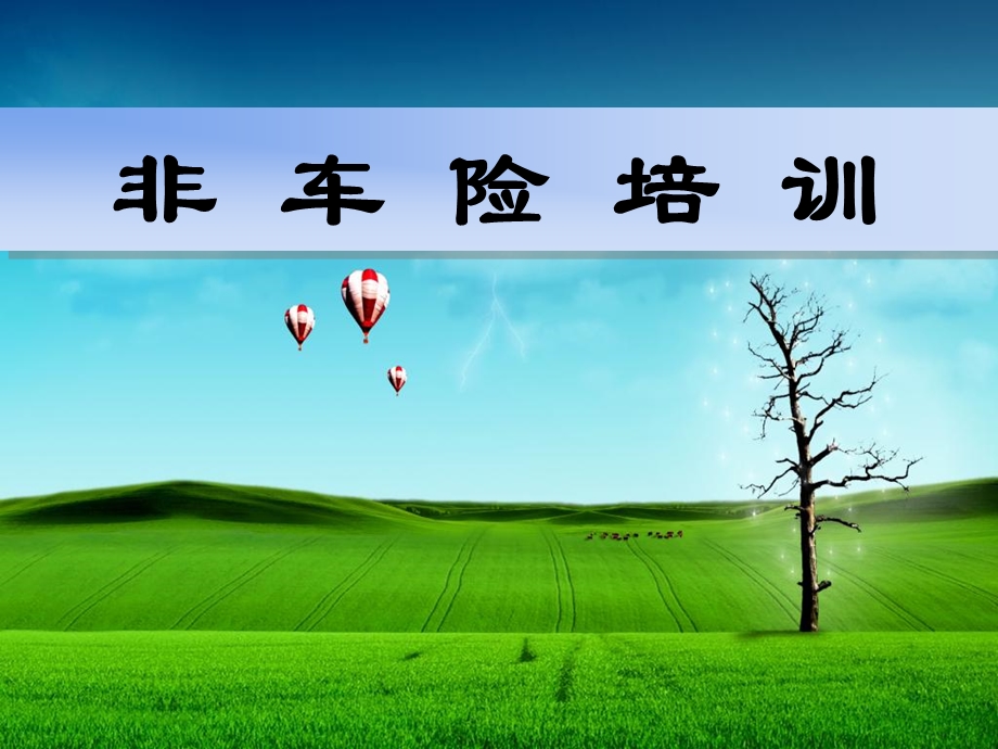 《非车险宣导》PPT课件.ppt_第1页