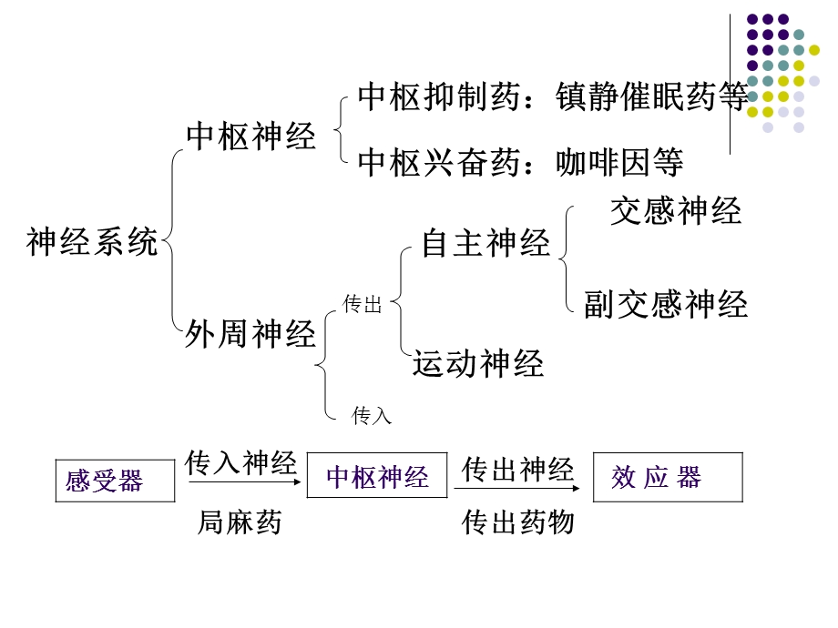 药理学：第五章.ppt_第3页