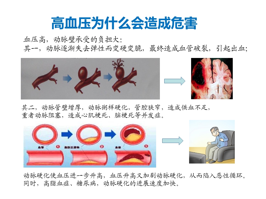 《高血压讲座》PPT课件.ppt_第3页