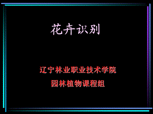 《植物识别》PPT课件.ppt