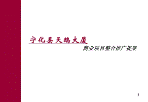 宁化商业项目整合推广提案.ppt