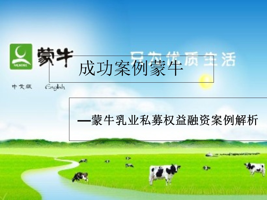 《融资案例分析》PPT课件.ppt_第1页