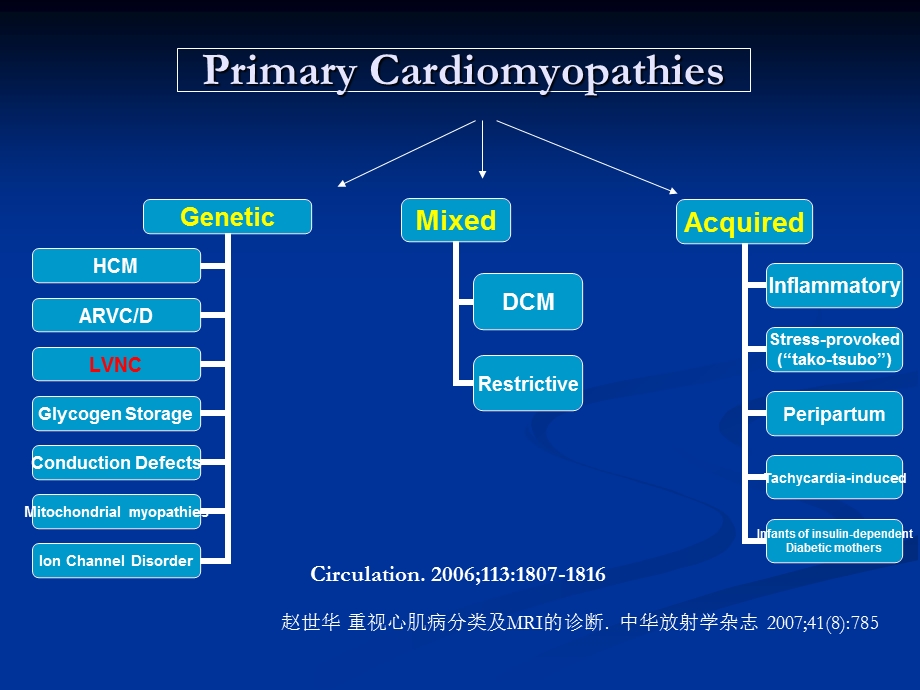 赵世华放射科课件.ppt_第2页