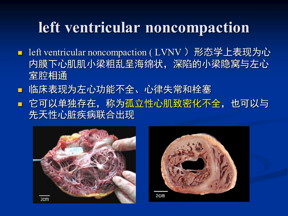 赵世华放射科课件.ppt_第3页