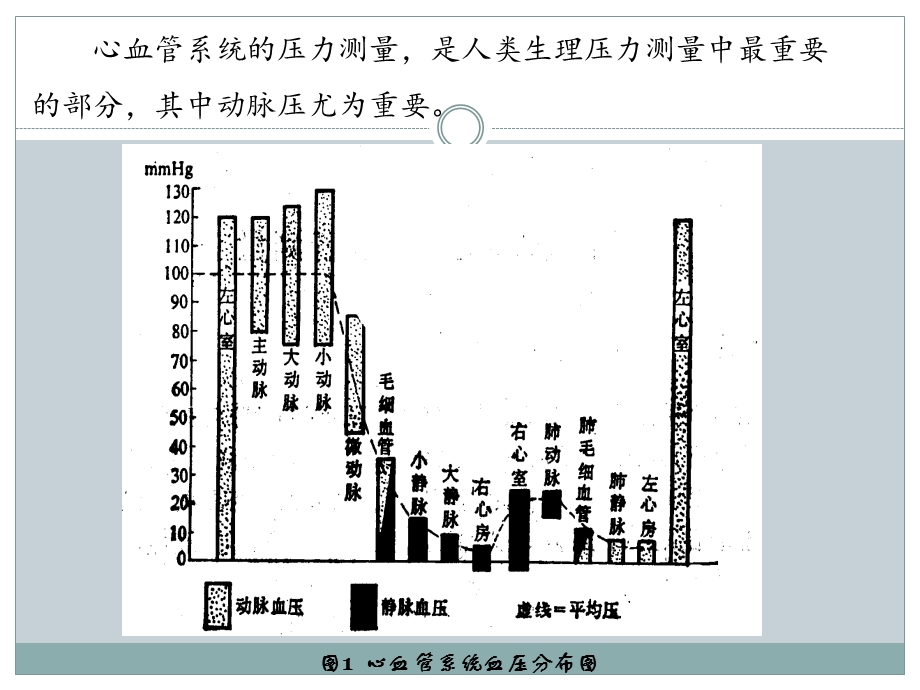 《血压测量规范》PPT课件.ppt_第2页