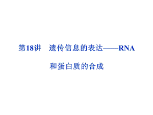 《遗传信息的表达》PPT课件.ppt