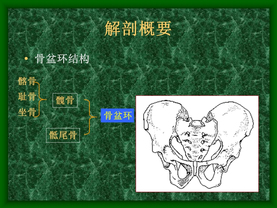 《骨盆骨折六院》PPT课件.ppt_第2页