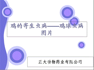 《鸡的寄生虫病》PPT课件.ppt