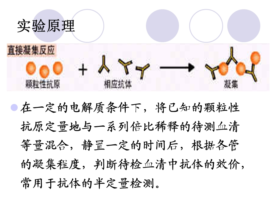 直接凝集实验 接溶血素制备1.ppt_第2页