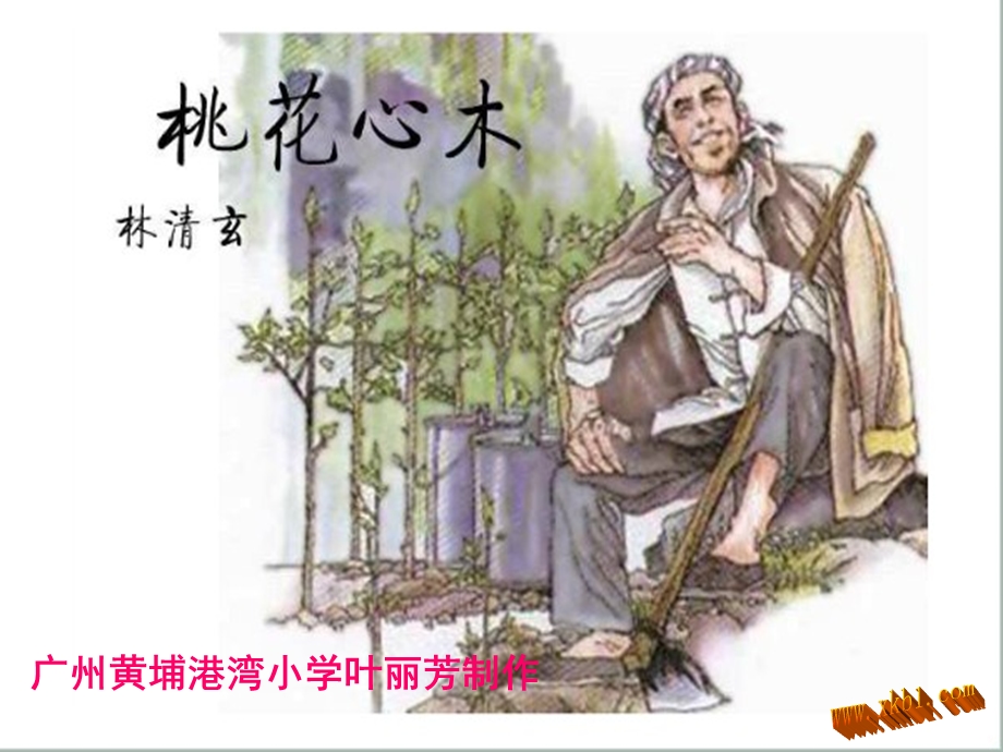 《语文桃花心木》PPT课件.ppt_第1页