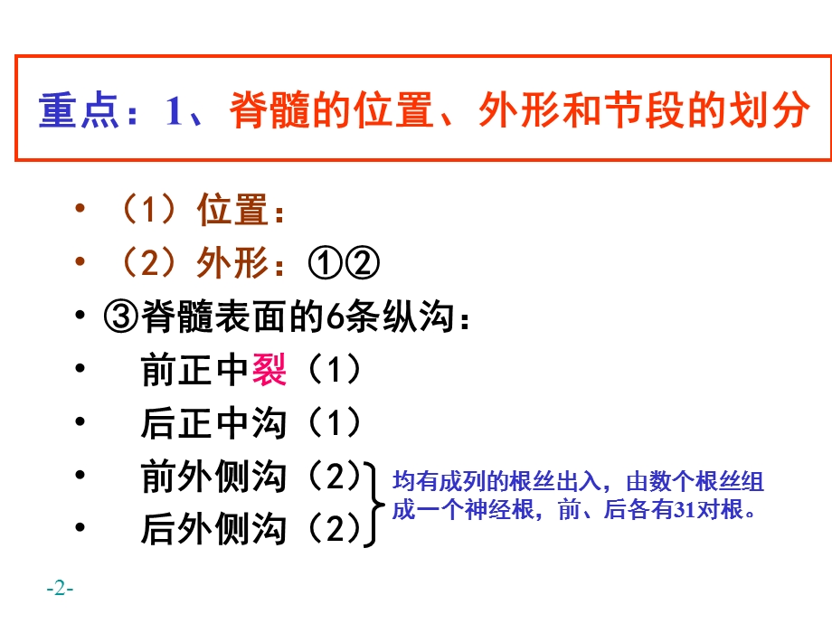 《脊髓内部结构》PPT课件.ppt_第2页