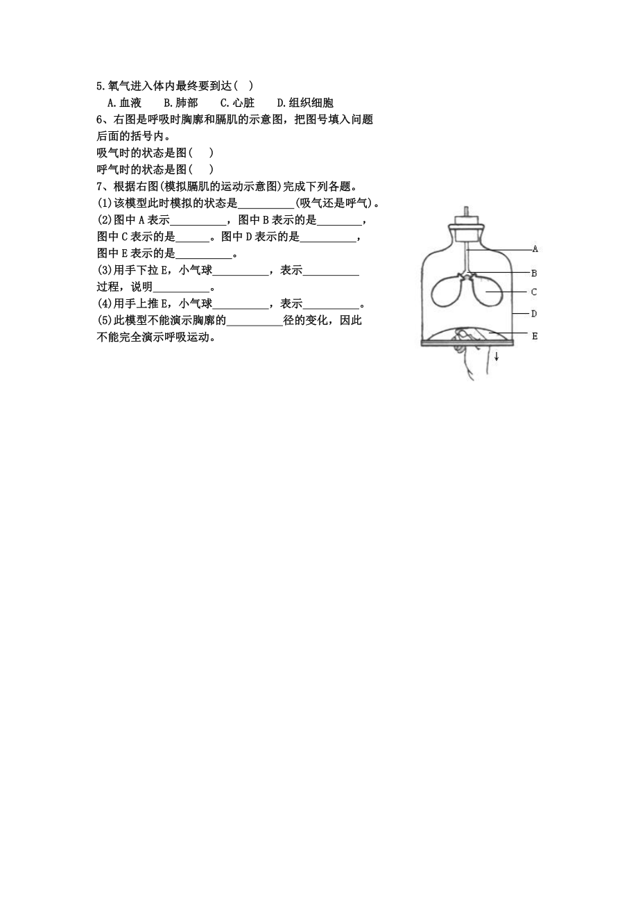 发生在肺内的气体交换导学案肖鹏.doc_第3页