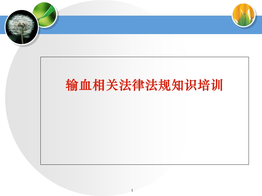 《输血法律法规》PPT课件.ppt_第1页