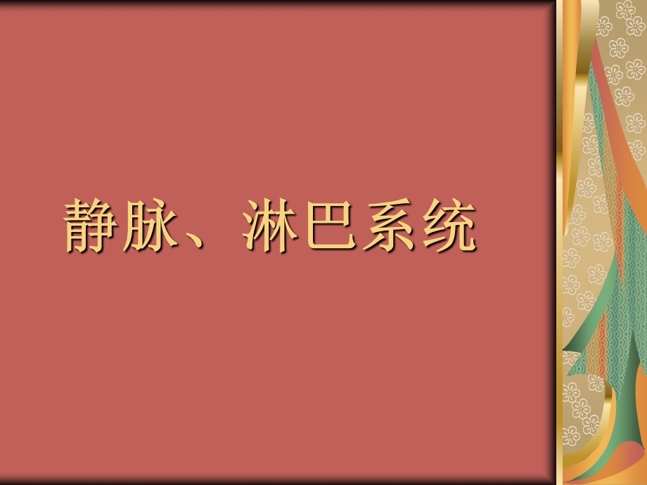 《静脉淋巴系统》PPT课件.ppt_第1页