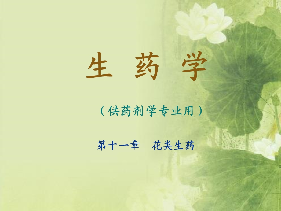 《花类生药》PPT课件.ppt_第1页