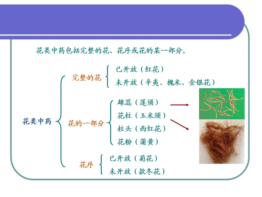 《花类生药》PPT课件.ppt_第2页