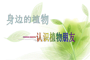 《认识植物朋友》PPT课件.ppt