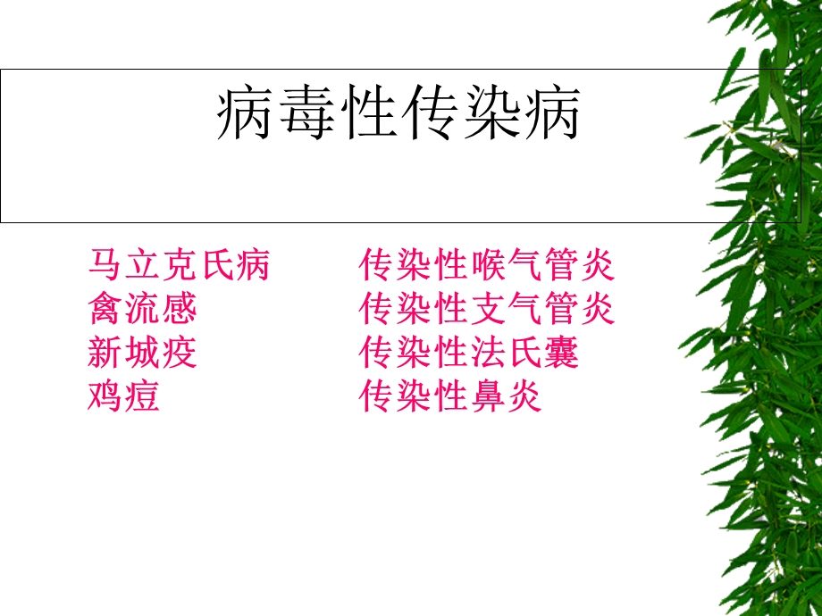 《鸡常见病图谱》PPT课件.ppt_第2页