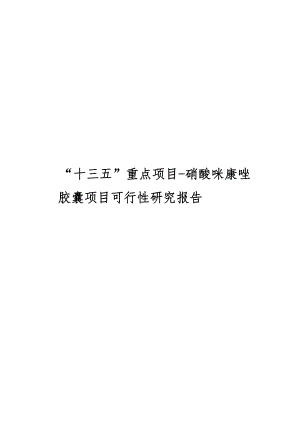 “十三五”重点项目硝酸咪康唑胶囊项目可行性研究报告[修改版].doc