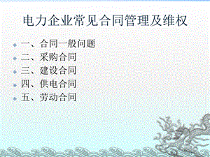 《青海电力授》PPT课件.ppt