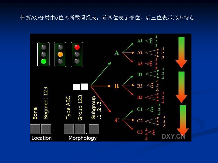 《骨折的AO分型》PPT课件.ppt_第3页