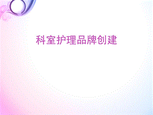 《护理品牌建设》PPT课件.ppt