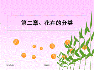 《花卉分类》PPT课件.ppt