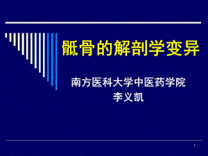 《骶骨的解剖学变异》PPT课件.ppt