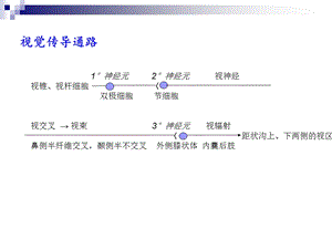 《视觉传导通路》PPT课件.ppt