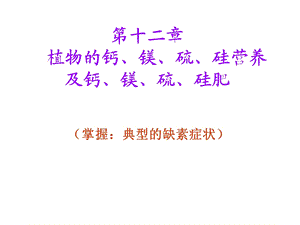 《钙镁硫硅》PPT课件.ppt