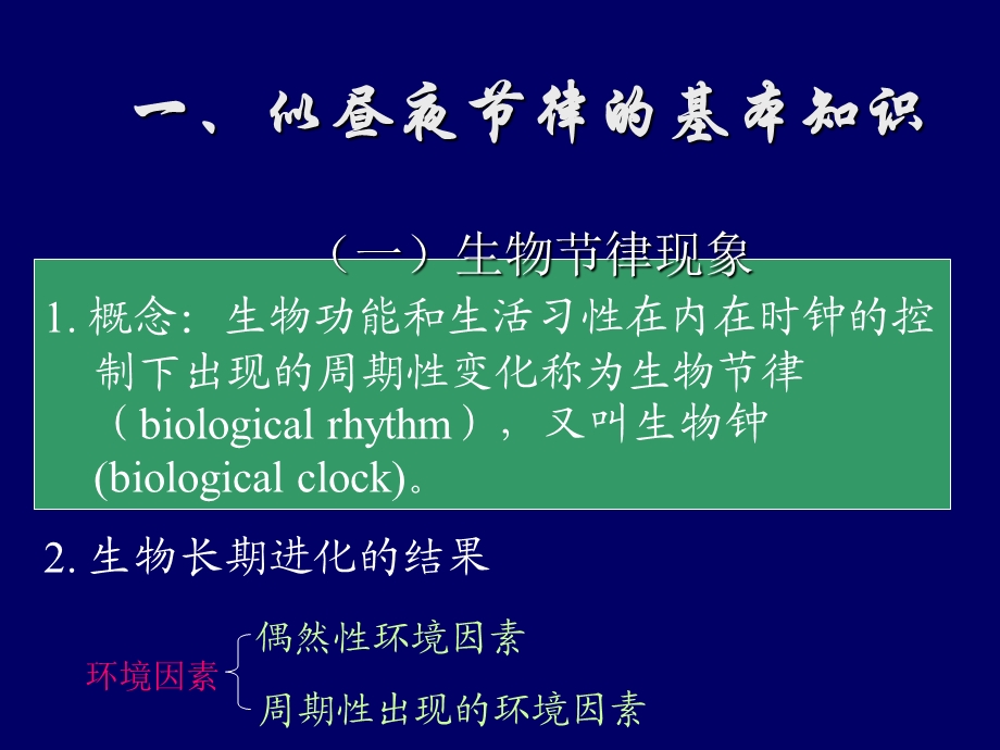 《似昼夜节律》PPT课件.ppt_第3页