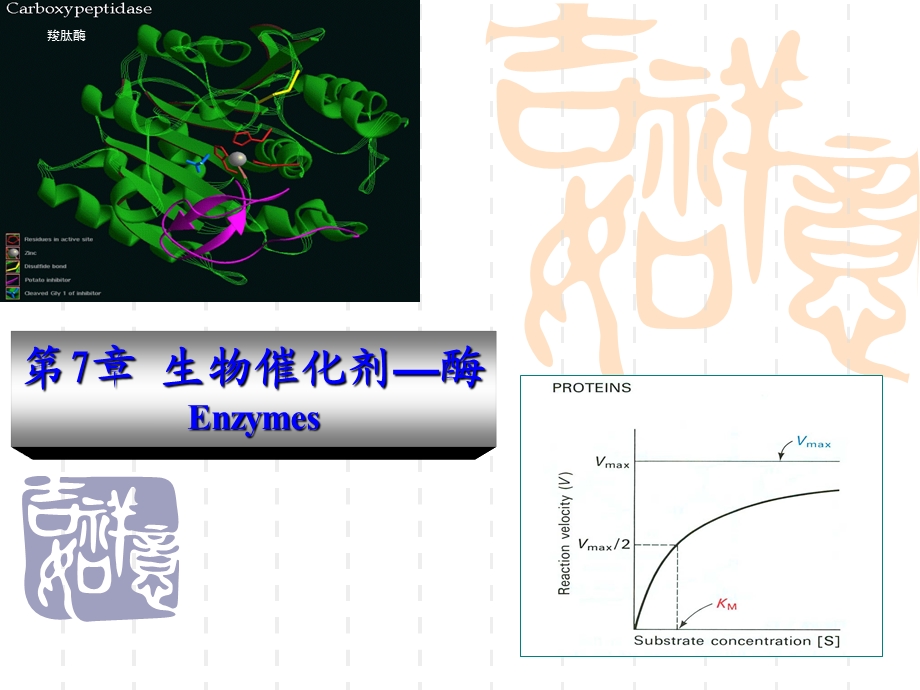 《生物催化剂酶》PPT课件.ppt_第1页