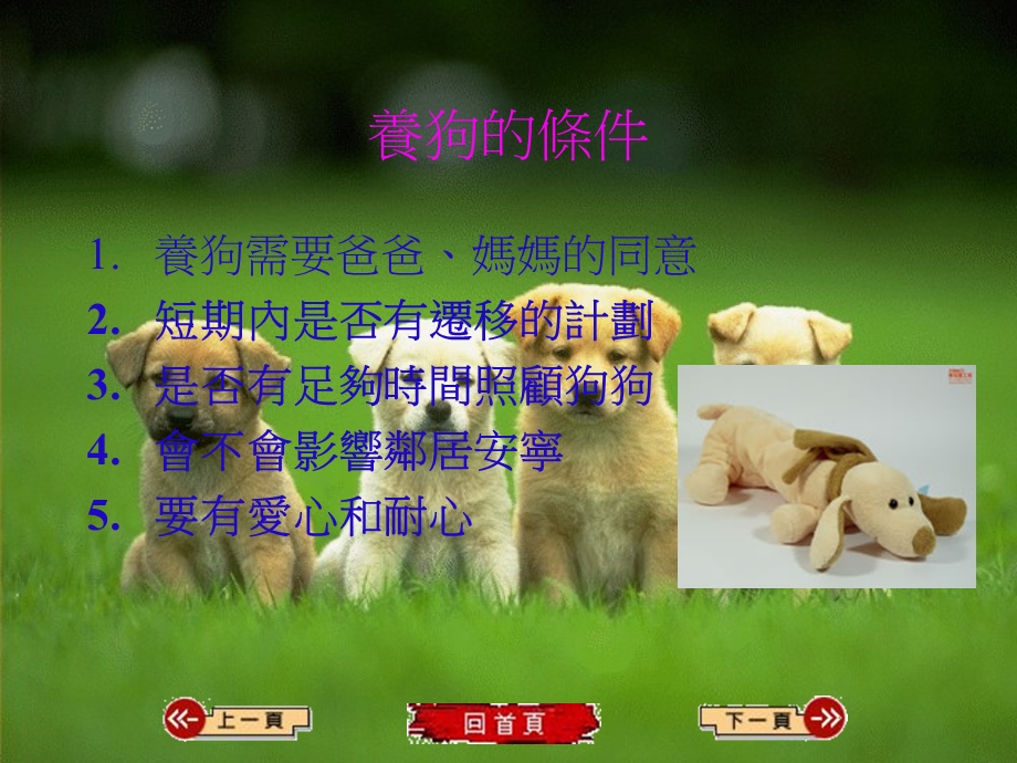 《狗的饲养方法》PPT课件.ppt_第3页