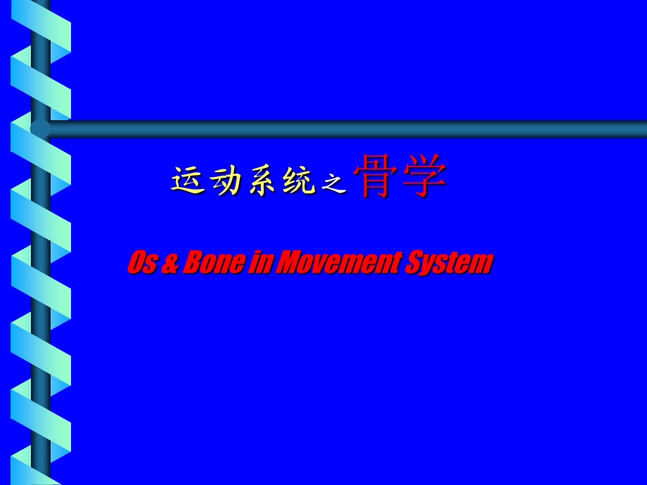 《运动系统骨学》PPT课件.ppt_第3页