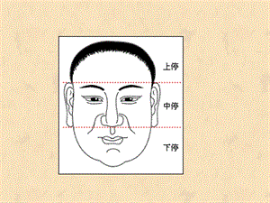 《面相学之鼻相》PPT课件.ppt