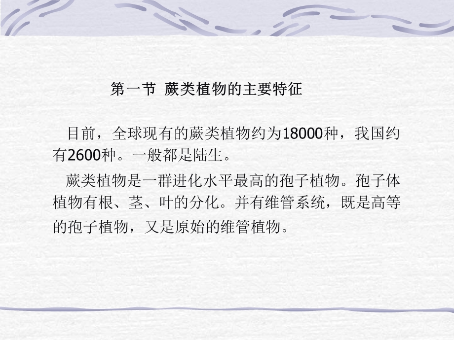 《蕨类植物门》PPT课件.ppt_第2页