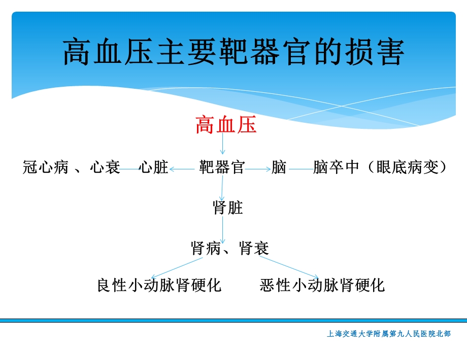 《高血压肾病》PPT课件.ppt_第3页