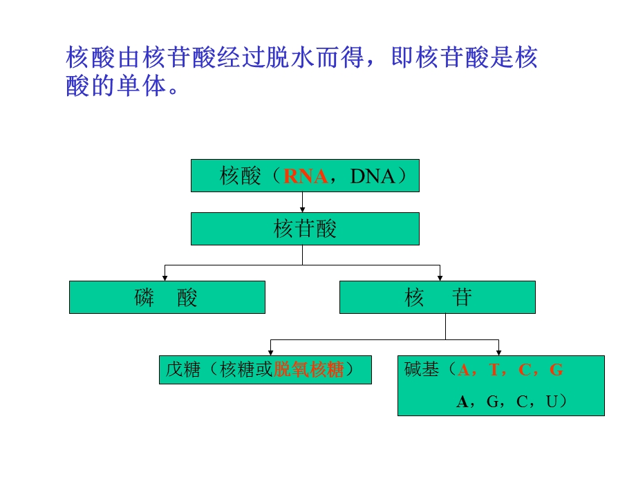 《生命与化学》PPT课件.ppt_第3页