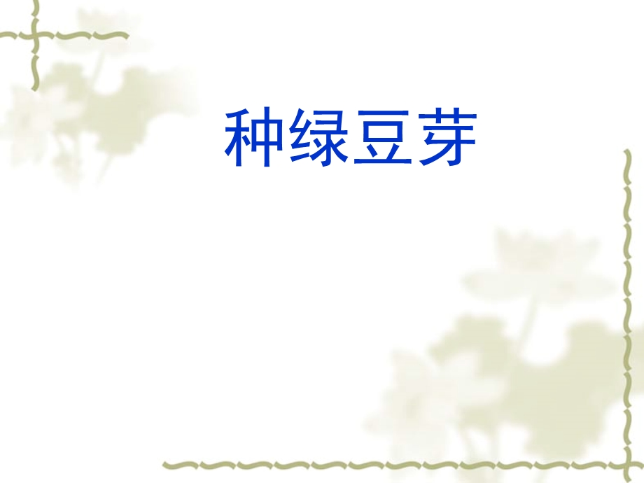 《观察日记种豆芽》PPT课件.ppt_第1页