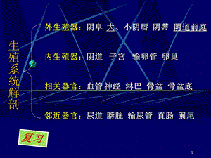 《生殖生理大课》PPT课件.ppt