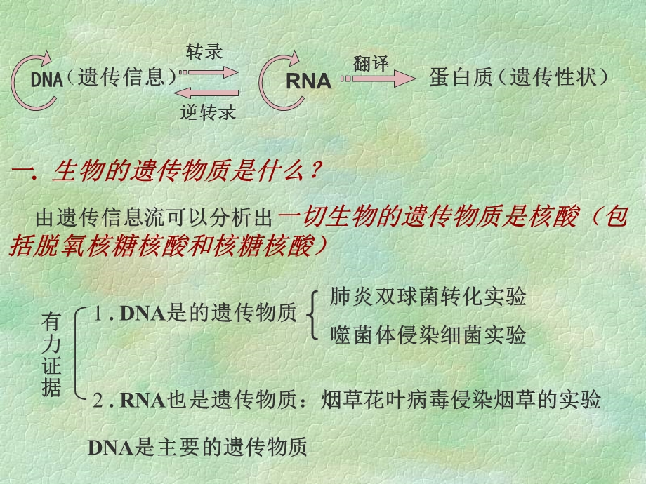 遗传和变异专题复习.ppt_第3页