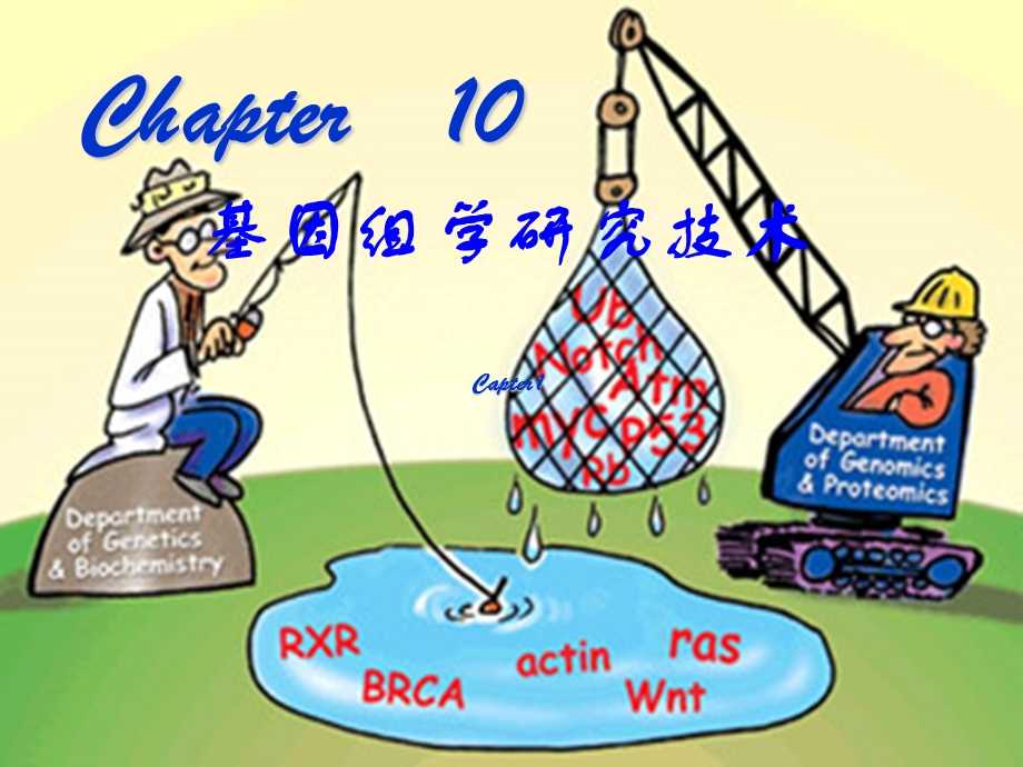 《组学研究技术》PPT课件.ppt_第1页